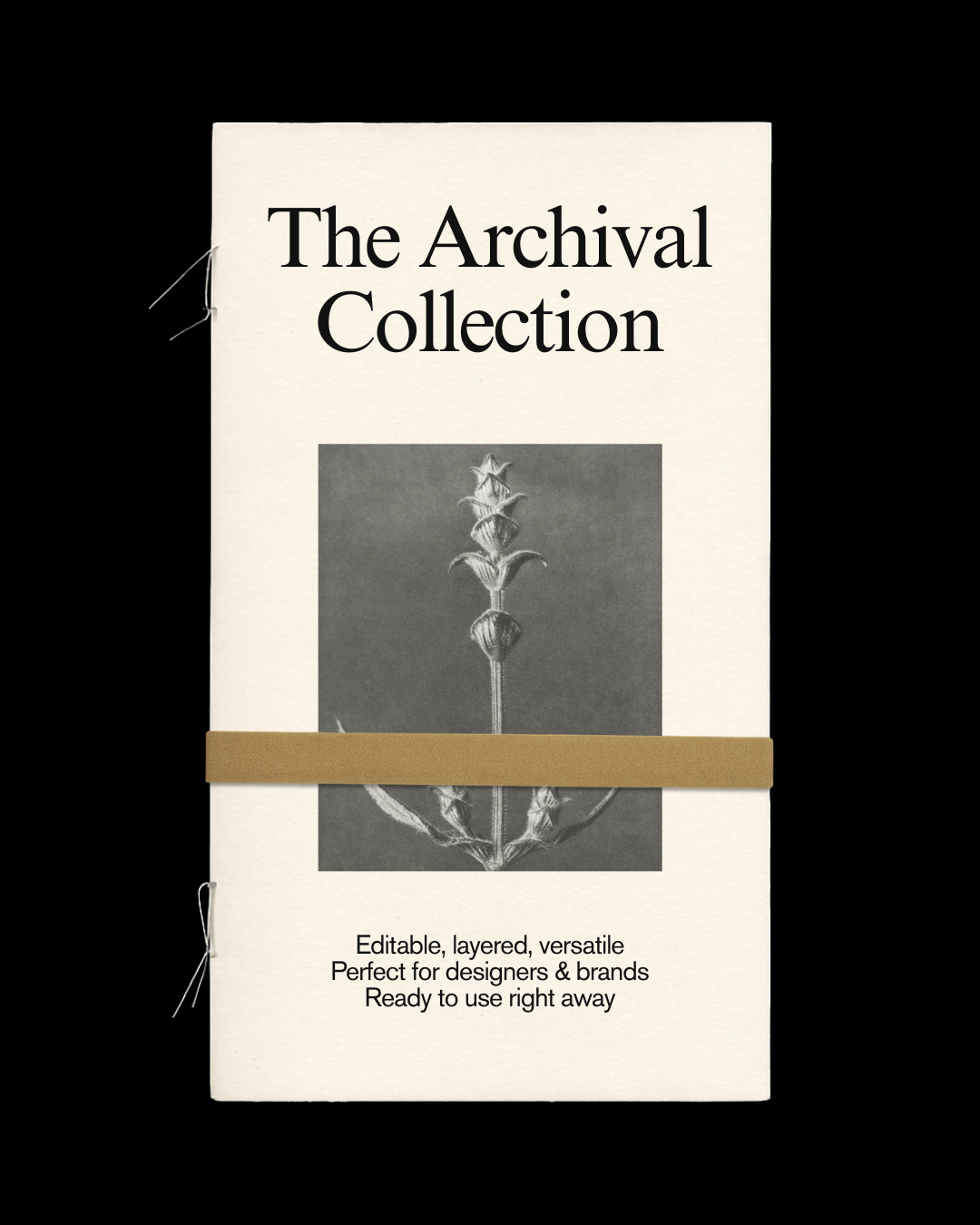 The Archival Content Kit