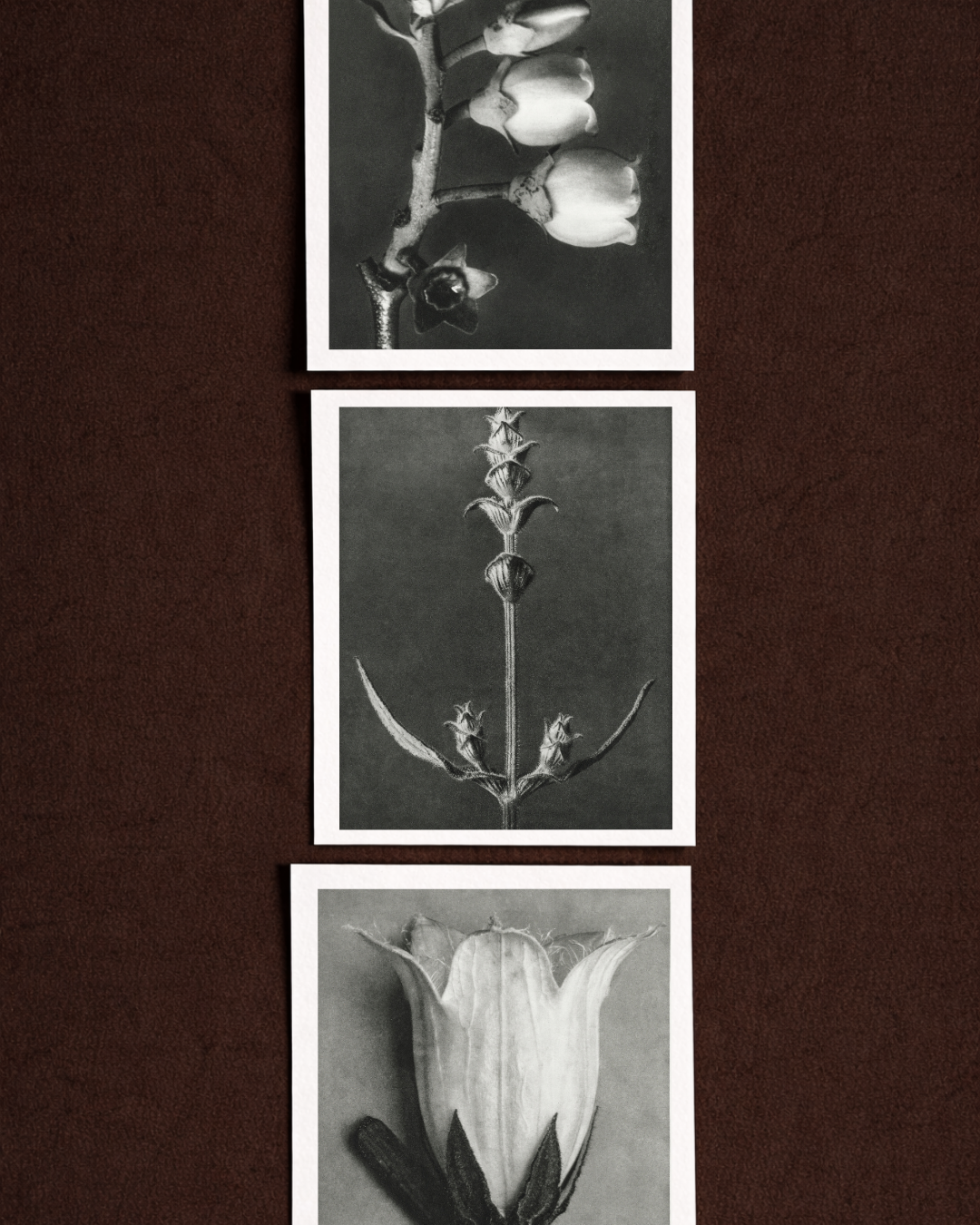 The Archival Content Kit