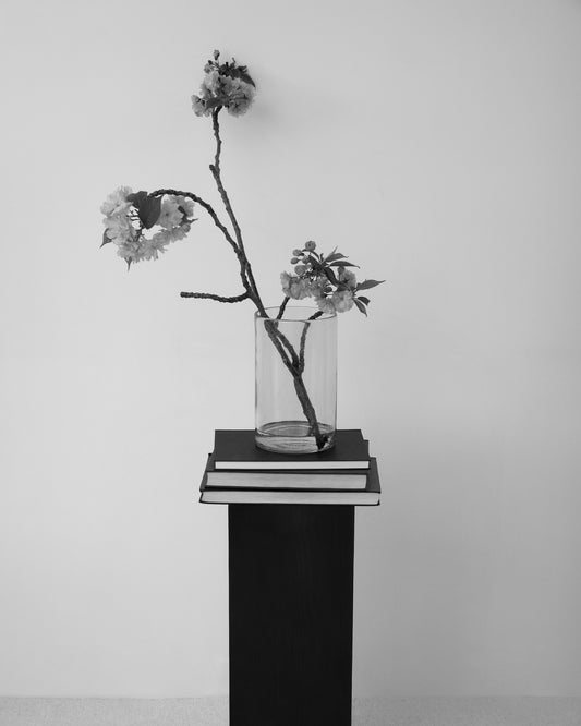 Offer An Ecosystem™