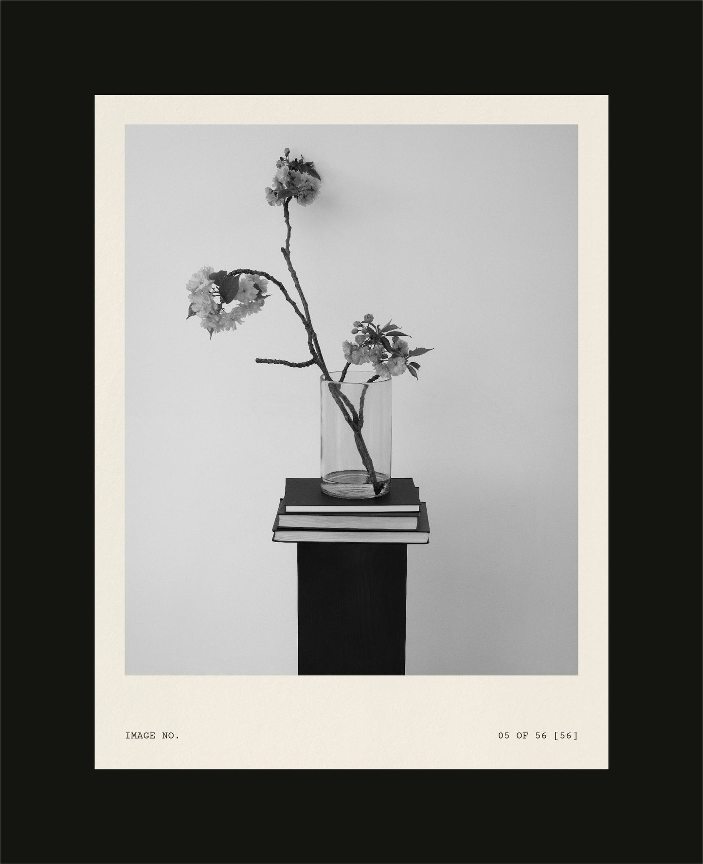 Dimanche Mockup Library